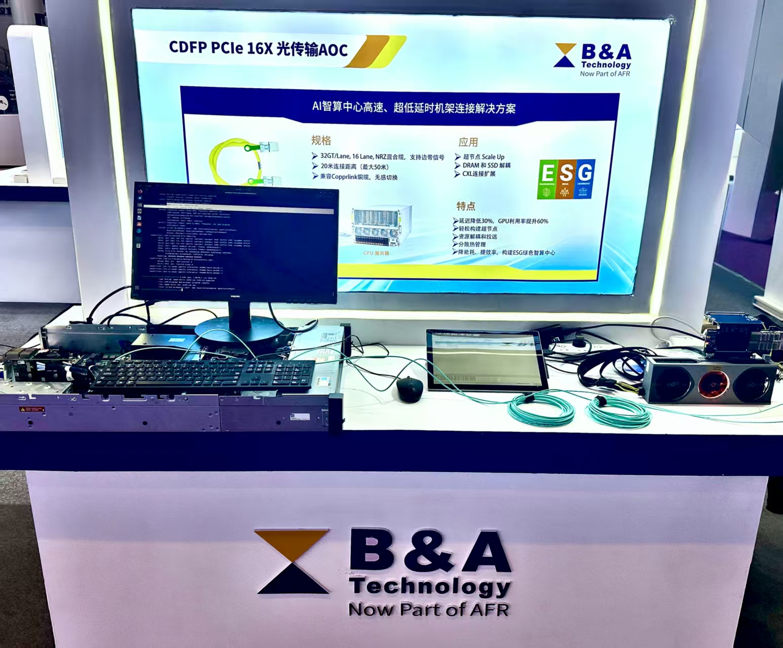 00.jpg